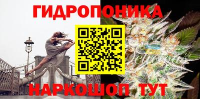 сатива Бузулук