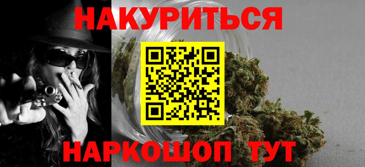 Котовск  Шишки марихуана план  Вход с VPN  Бошки Шишки планчик 